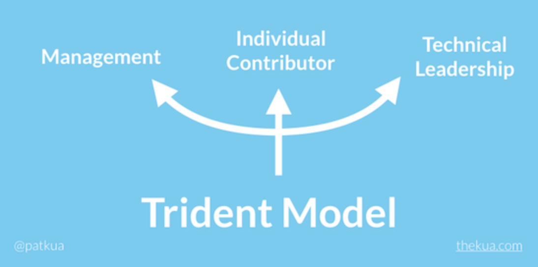 Tech Leadership, Individual Contributor