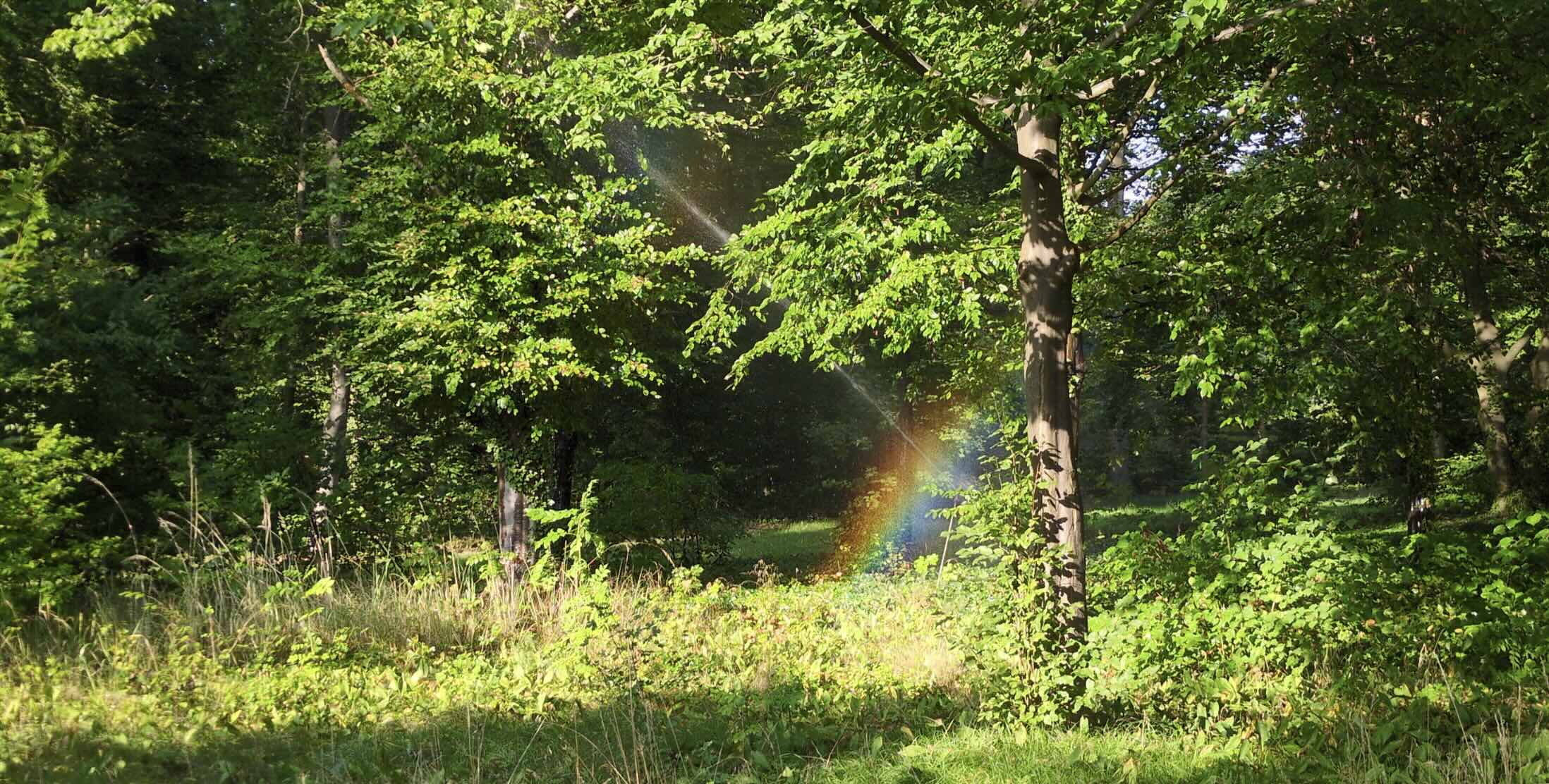 What success means to me