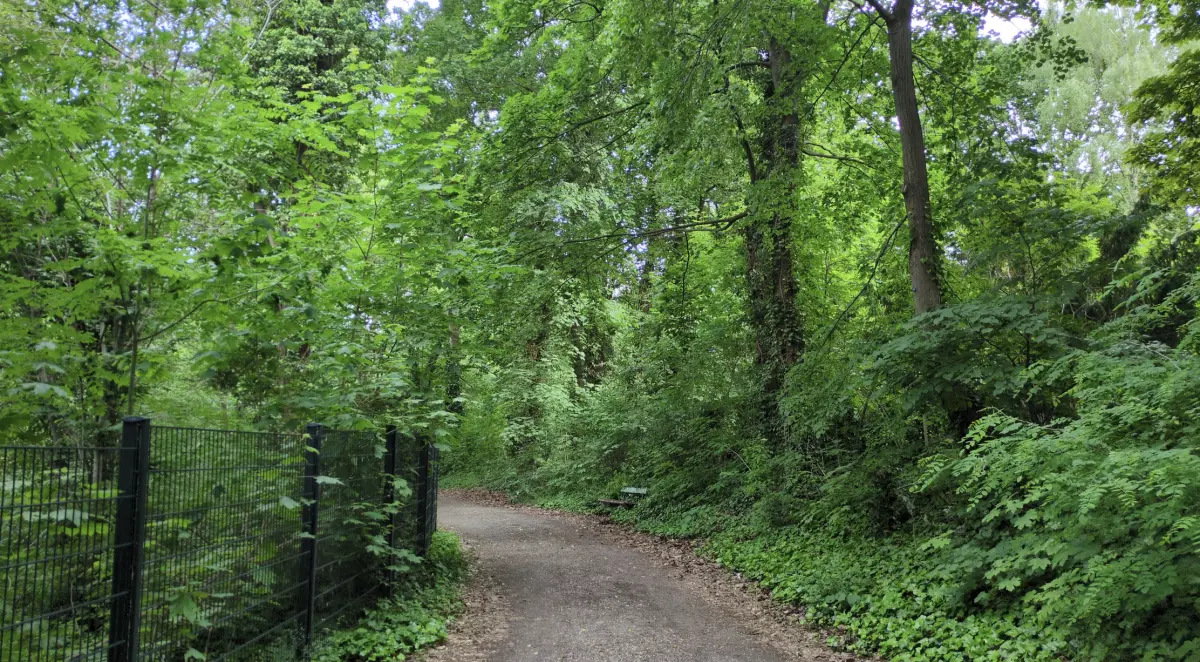 A gravel path curving into green woods, past a metal fence