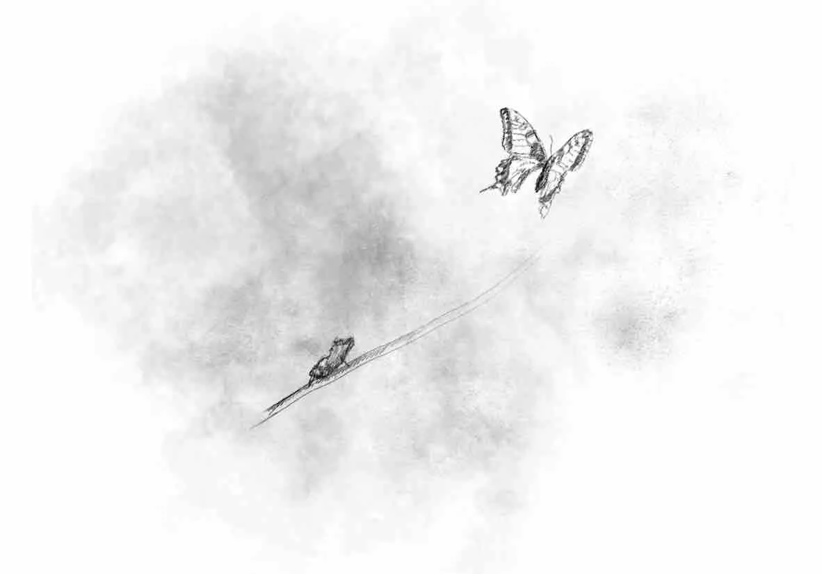 Chapter 15: May 2016