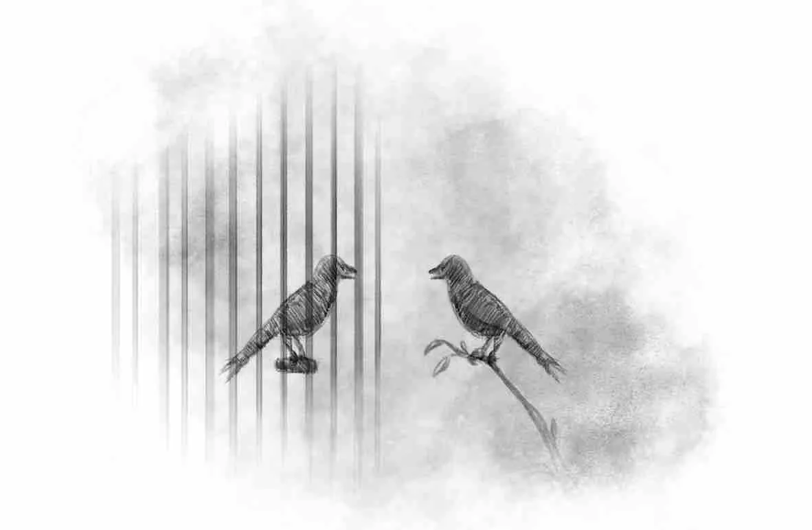 Chapter 23: January 2017