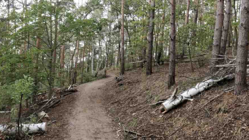 Compartiendo tus Parches de Git