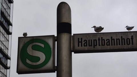 How to Test Private Methods?