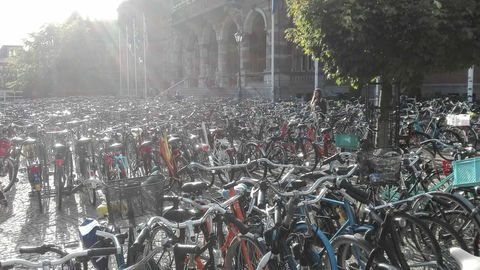Bikeshedding