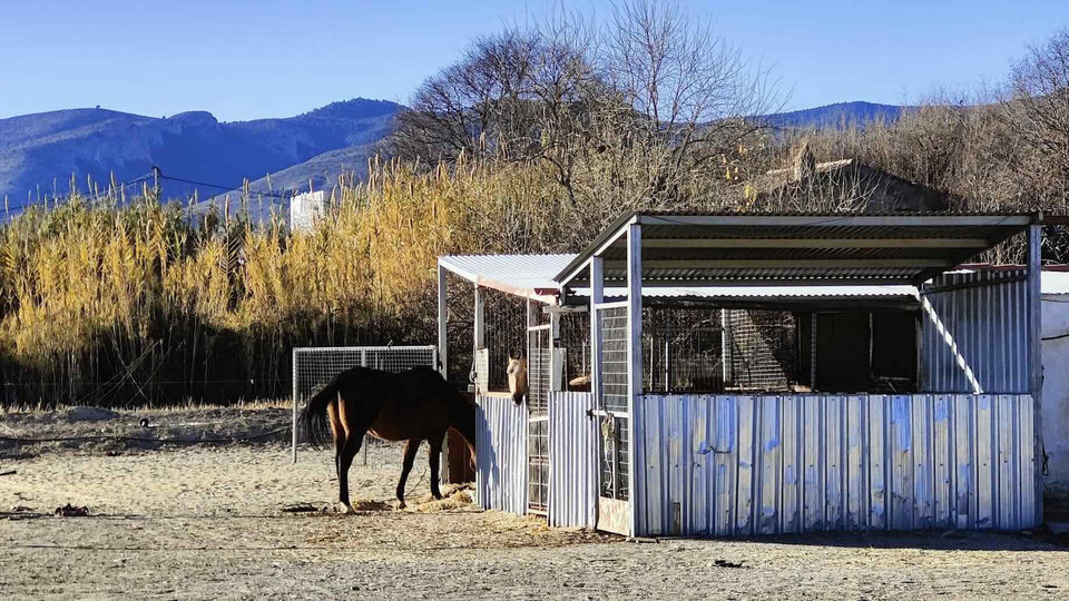 Pair Programming Efectivo