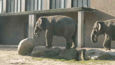 Never Use array_merge in a Loop