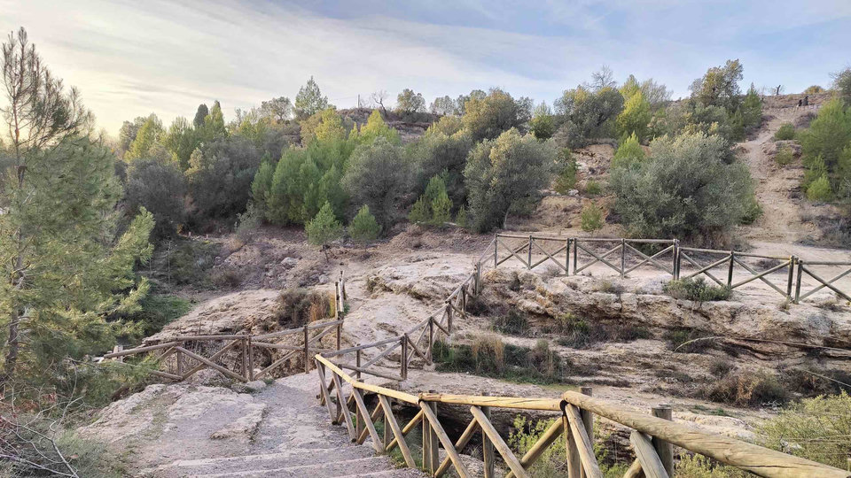 ¿Siempre Has Sido Así?