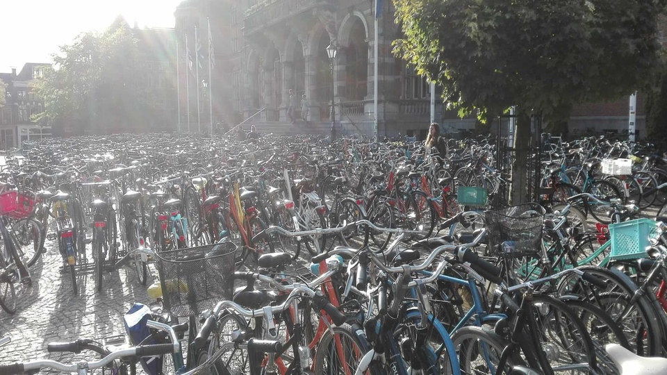 Bikeshedding