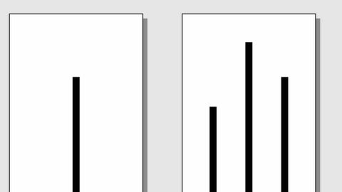 Conformity Experiments