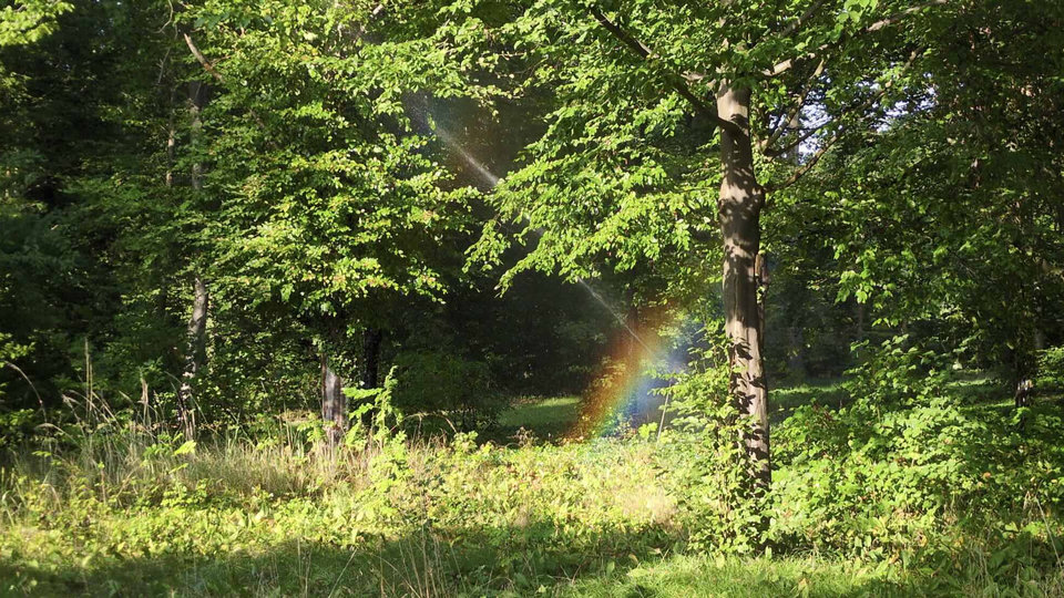 Lo que el Éxito Significa para Mí