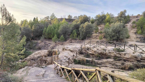 Have You Always Been Like This?