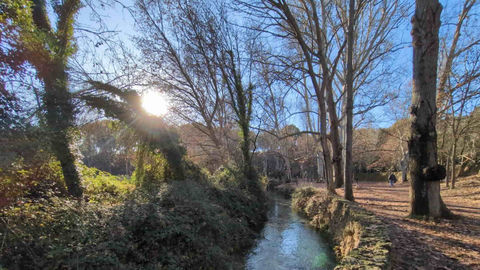 Build Your Own Team of Agents