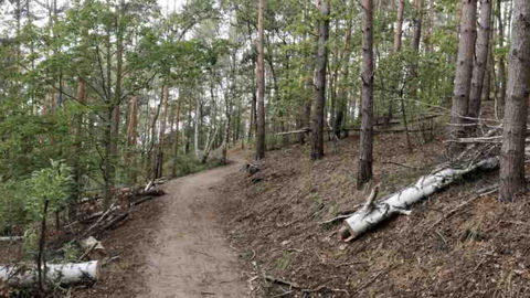 Sharing Your Git Patches