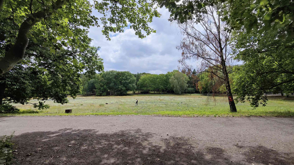 La Belleza del Liderazgo