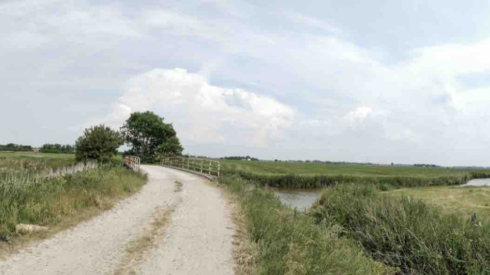 Final Classes in PHP | Java | Any