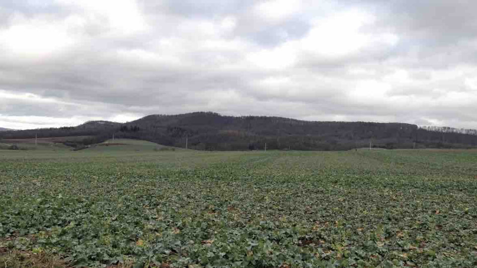 Testeando Código Legacy de Forma Efectiva