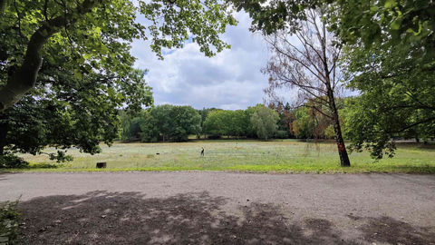 The Beauty of Leadership