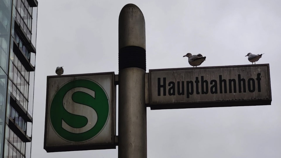 ¿Cómo Testear Métodos Privados?