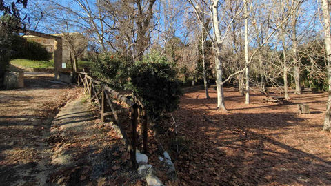 Idealism vs Pragmatism