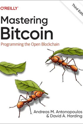 Dominando Bitcoin
